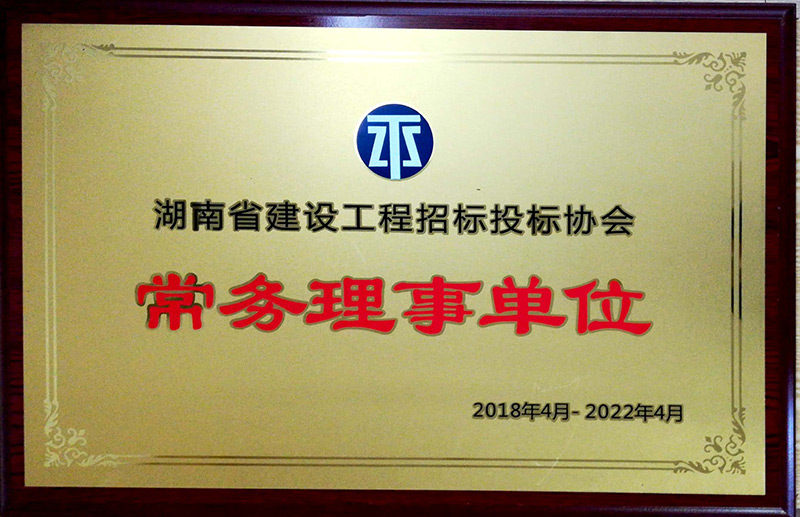 恭喜我司乐成中选为湖南省建设工程招标投标协会常务理事单位 - 公司要闻 - 湖南万达项目治理有限公司【官网】